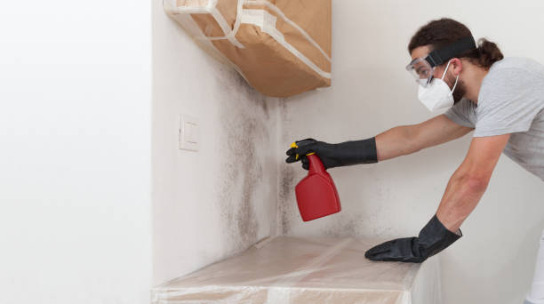 Professional Bathroom Mold Removal technician working in Boyne City, MI