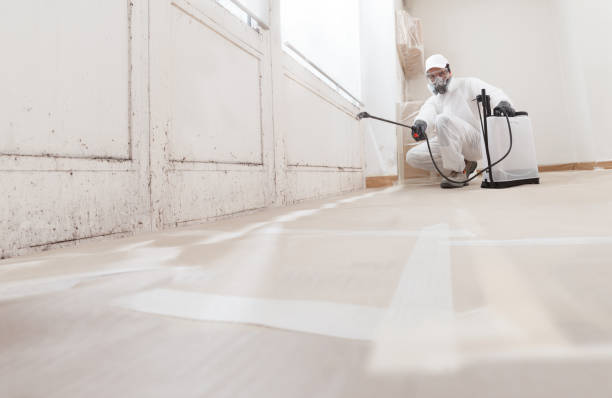 24/7 Emergency Bathroom Mold Removal experts in Boyne City, MI